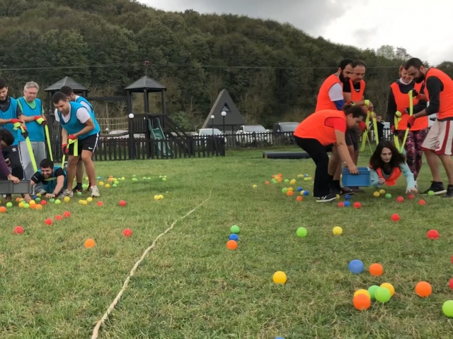 Survivor Turu 
