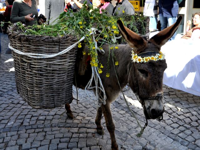 11. Alaçatı Ot Festivali