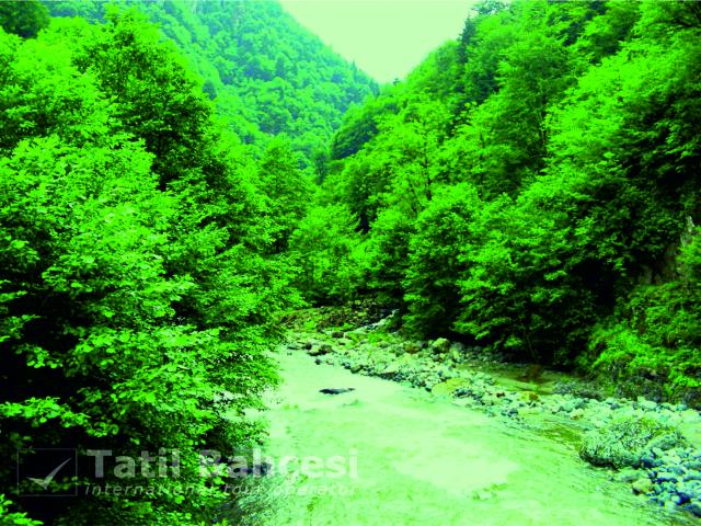 Doğu Karadeniz Turu